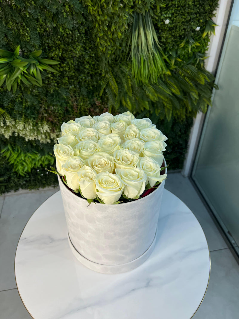 White Roses in White Velvet box