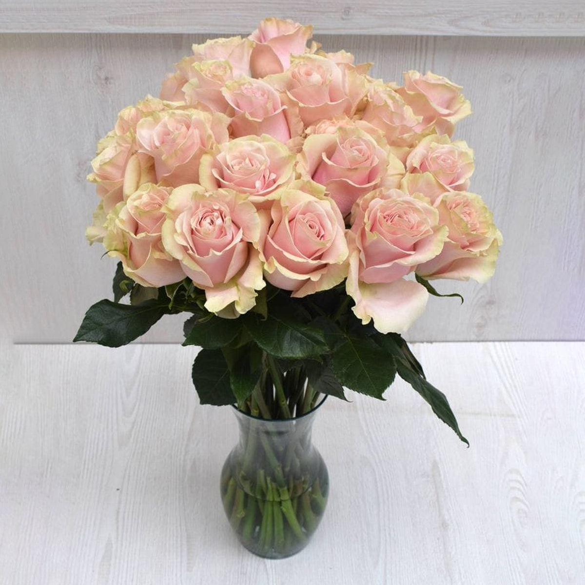 Pink Roses in Vase