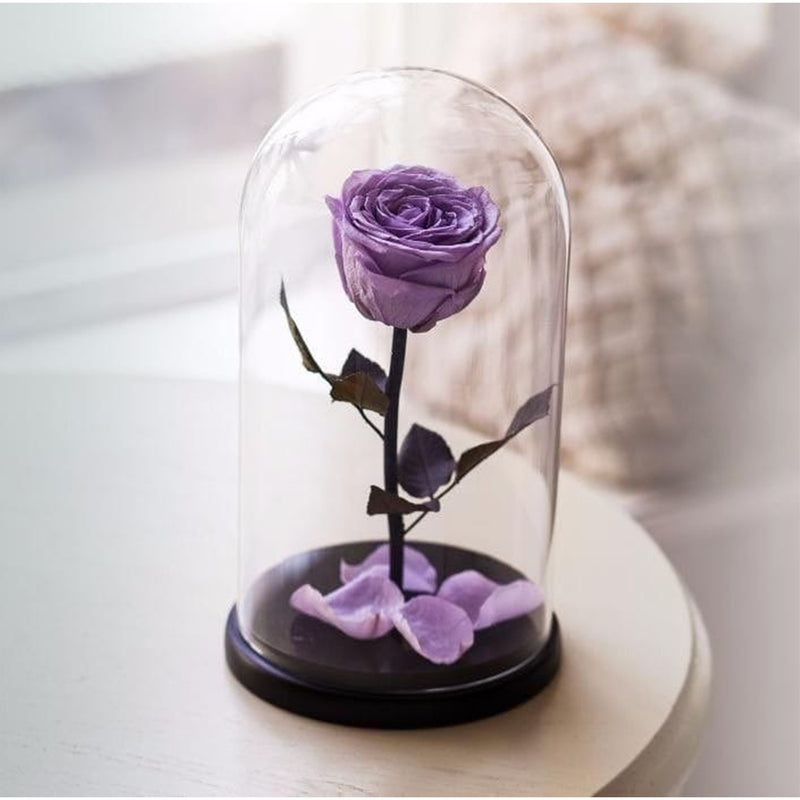 Eternal Love - Forever Rose Purple