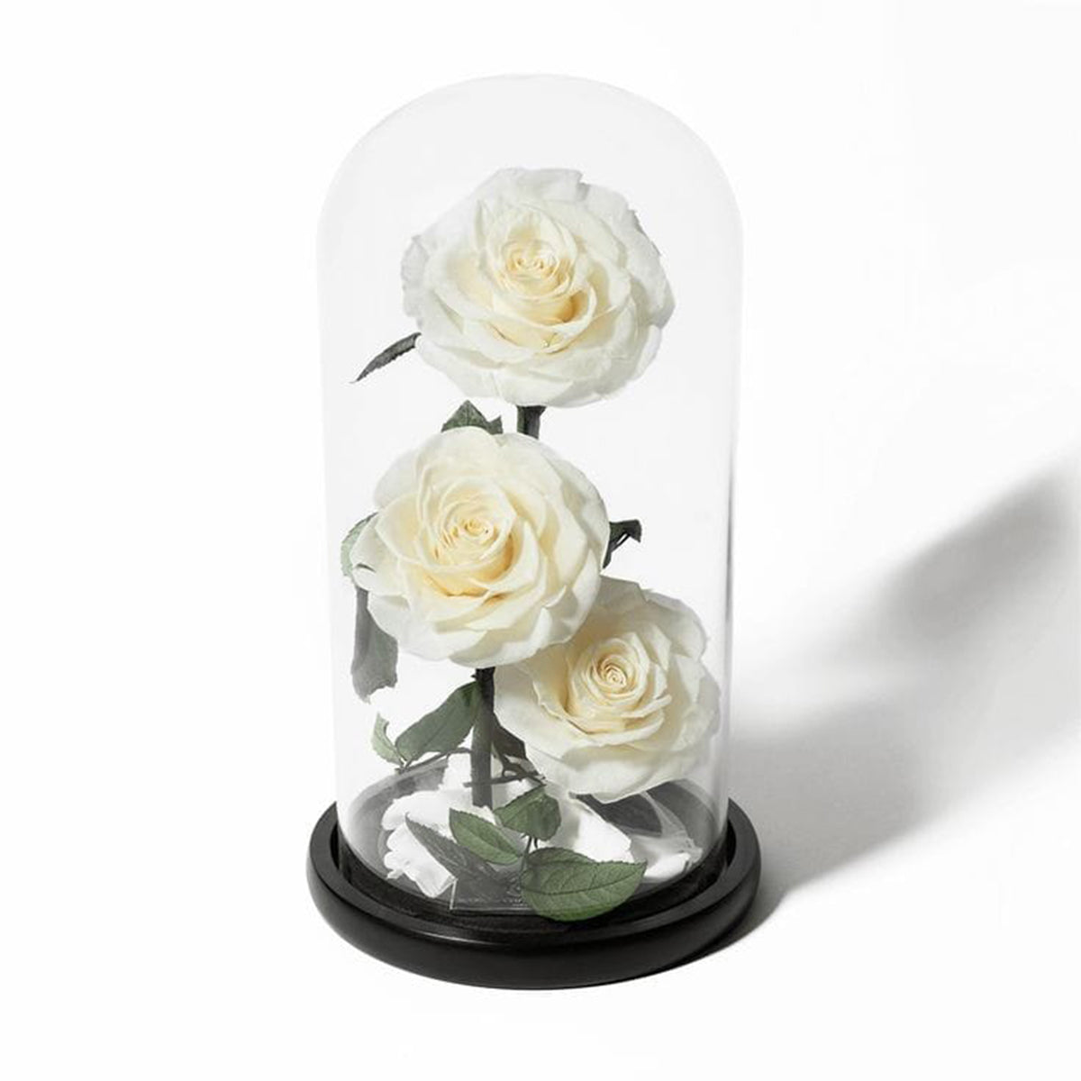 Eternal Love - Forever Roses White