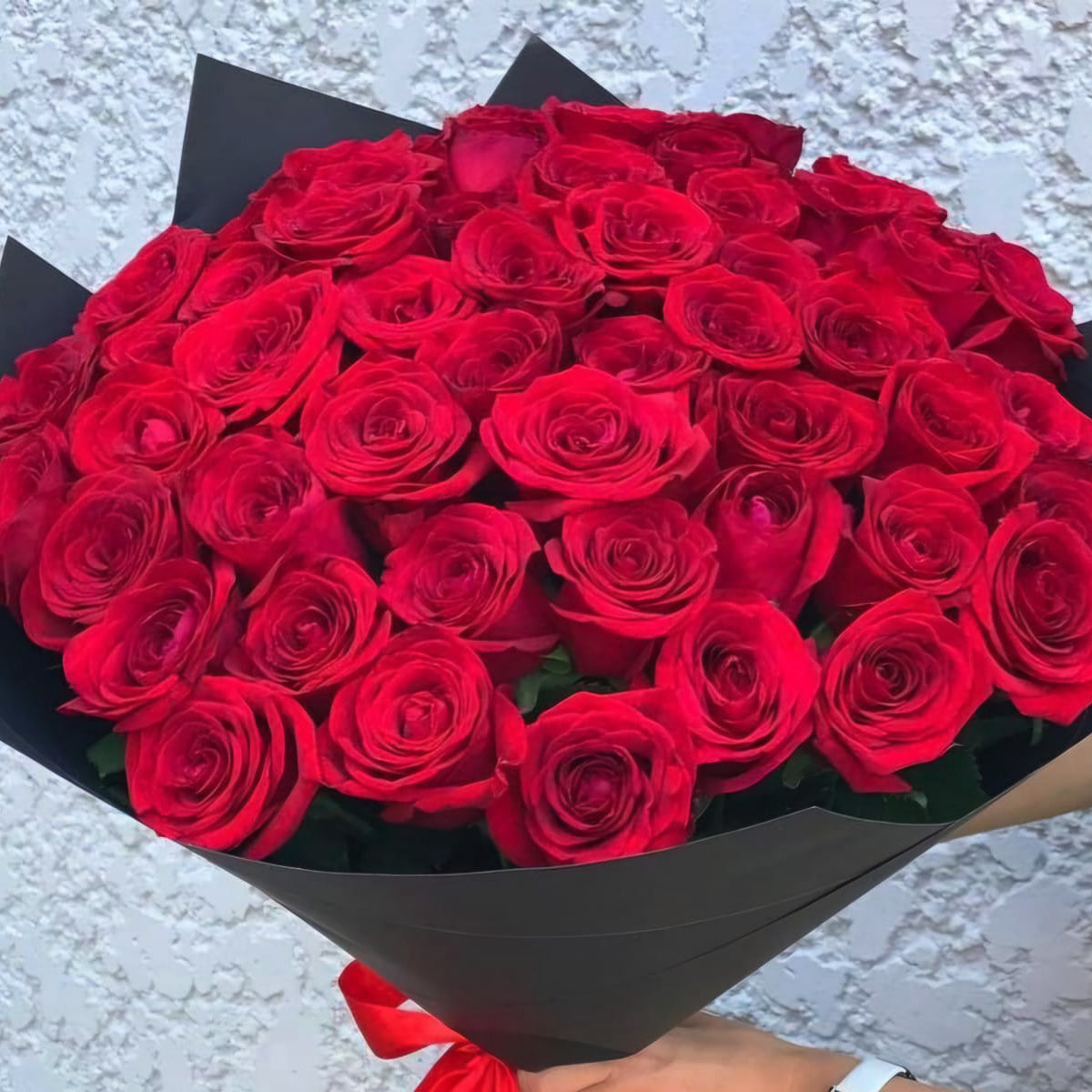 49 Elegant Red Roses