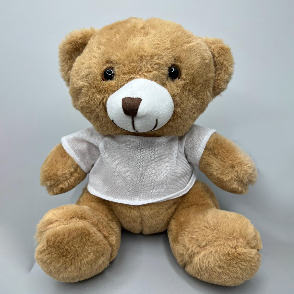 Teddy Bear with White T-Shirt