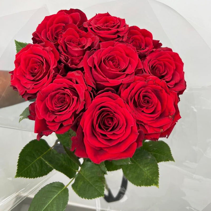 Classic 10 Red Roses