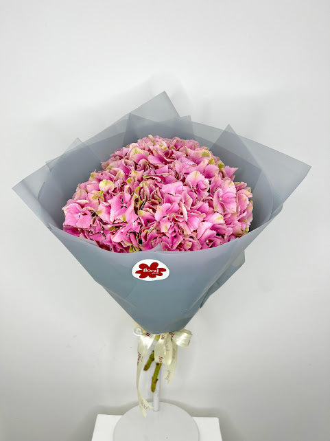 Pink Hydrangeas in Grey Wrap