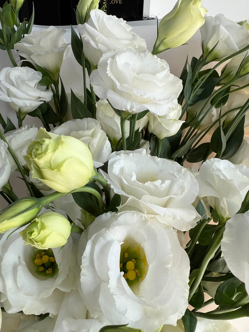 Lisianthus Dreamscape