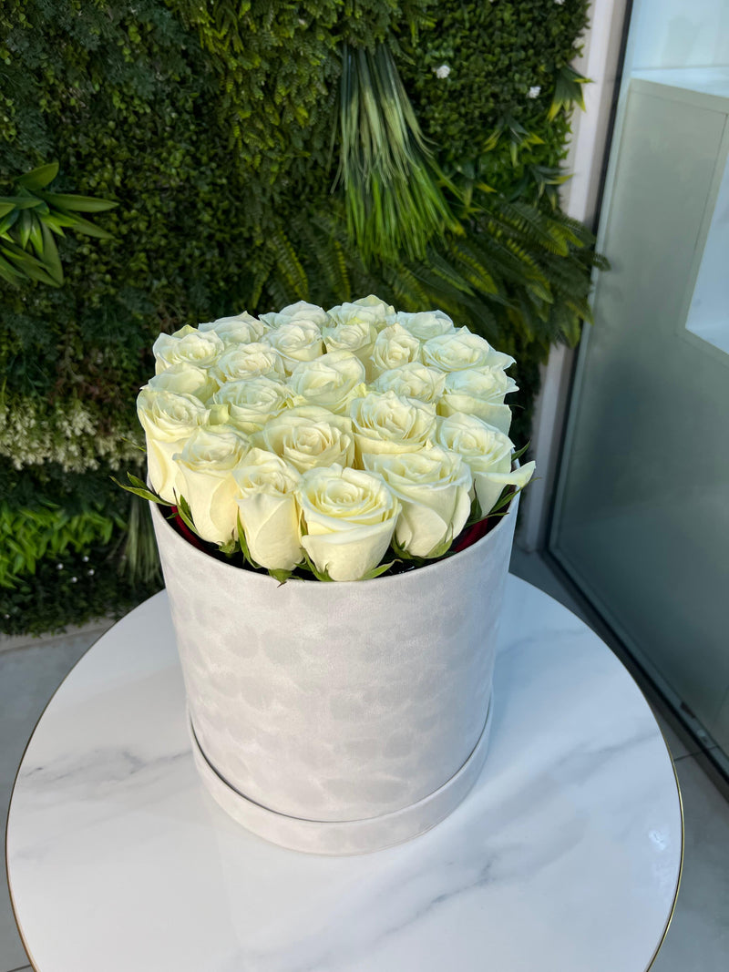 White Roses in White Velvet box