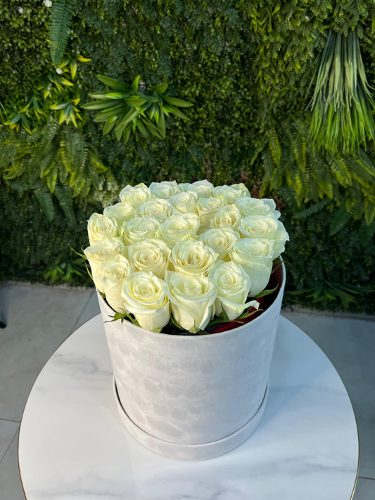 White Roses in White Velvet box